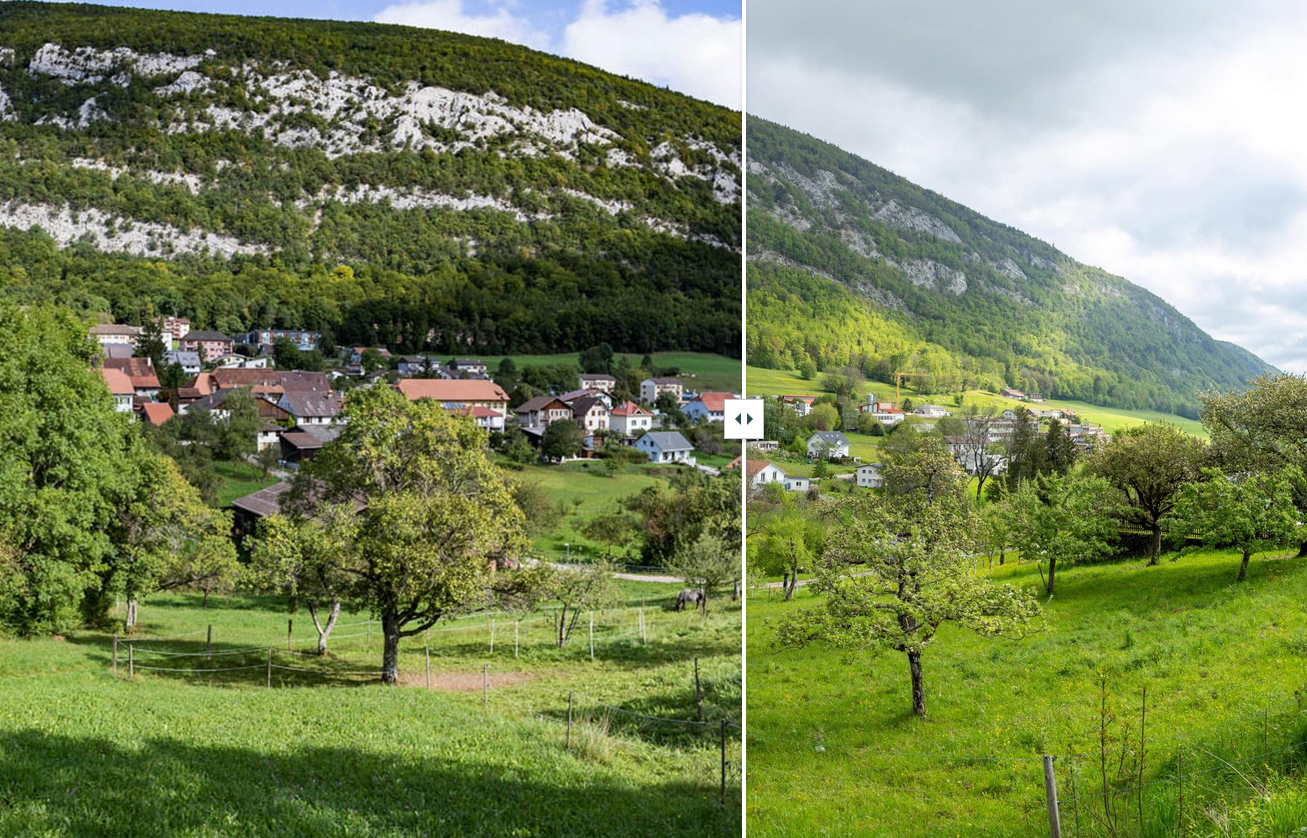 Gürtel aus Hochstamm-Obstgärten in Orvin